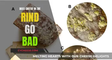 Cheese Rind: Does It Go Bad?