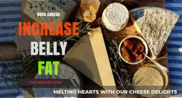 Cheese and Belly Fat: Separating Fact from Fiction in Your Diet