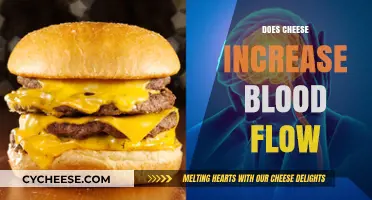Cheese and Circulation: Uncovering the Link to Enhanced Blood Flow