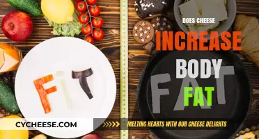Does Cheese Increase Body Fat? Unraveling the Dairy Dilemma
