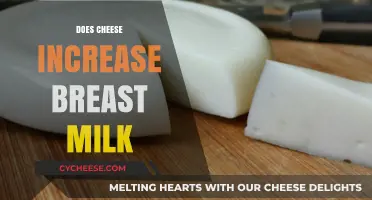 Can Cheese Boost Breast Milk Supply? Facts and Myths Explained