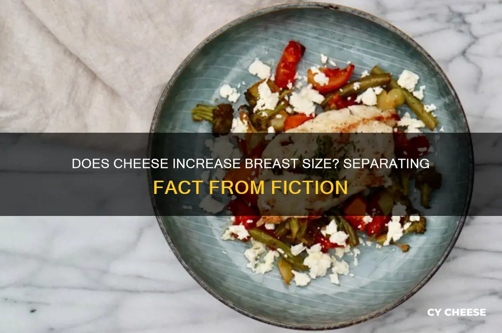 does cheese increase breast size