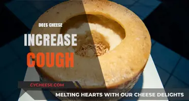 Cheese and Cough Connection: Unraveling the Truth Behind the Myth