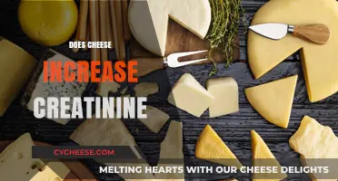 Cheese and Creatinine: Unraveling the Impact on Kidney Health