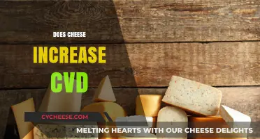 Cheese and Heart Health: Does Dairy Increase Cardiovascular Disease Risk?