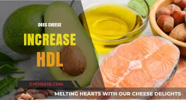 Can Cheese Boost Your HDL? Uncovering the Surprising Connection