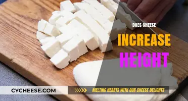 Can Cheese Boost Height? Unraveling the Myth and Facts