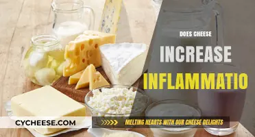 Cheese and Inflammation: Unraveling the Truth Behind the Dairy Debate
