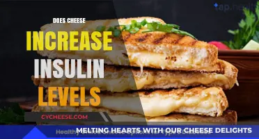 Cheese and Insulin: Unraveling the Impact on Blood Sugar Levels