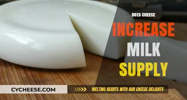 Can Cheese Boost Breast Milk Production? Facts and Myths Explained