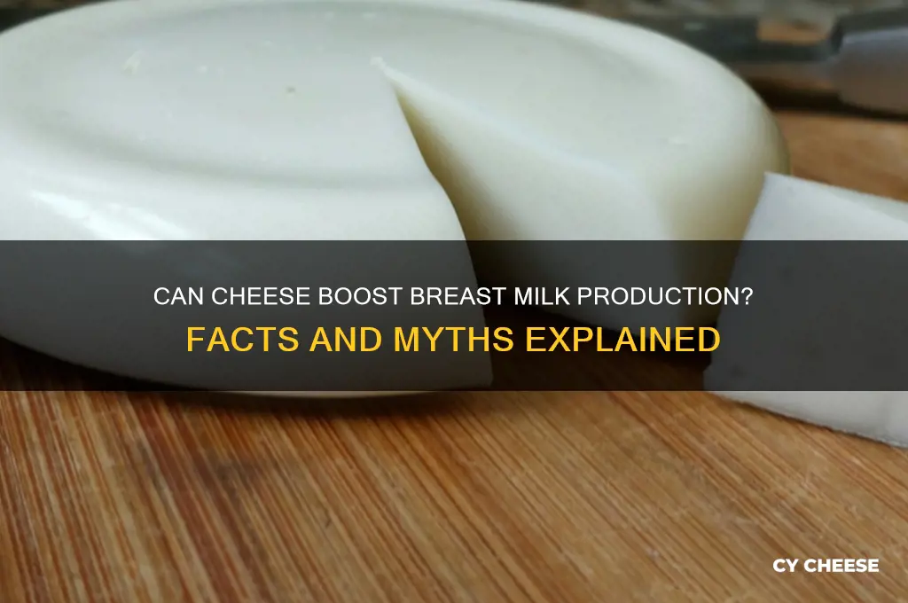 does cheese increase milk supply