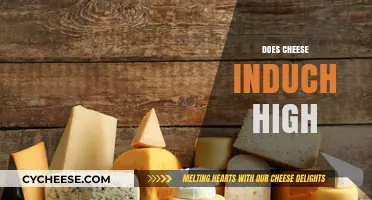 Does Cheese Induce a High? Unraveling the Myth and Science