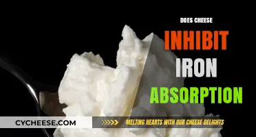 Cheese and Iron Absorption: Unraveling the Myth and Facts