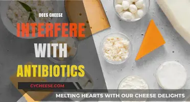 Cheese and Antibiotics: Unraveling the Myth of Dairy Interference