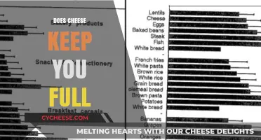 Does Cheese Keep You Full? Unraveling the Satiety Mystery