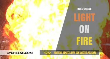 Can Cheese Catch Fire? Unraveling the Myth of Flammable Dairy