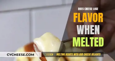 Cheese Flavor Mystery: Melting Point of Taste?