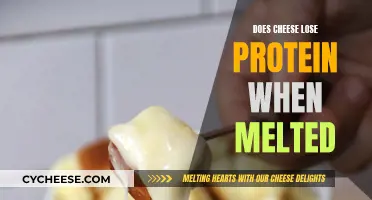 Cheese Protein Loss: Melting Mystery Solved
