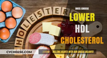 Can Cheese Consumption Impact Your HDL Cholesterol Levels? Find Out