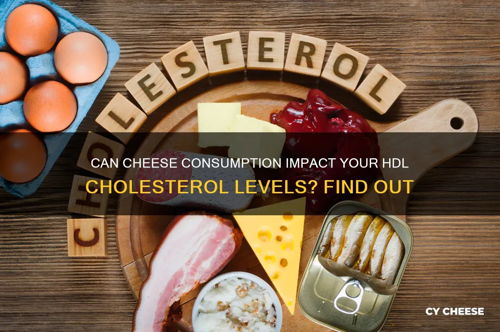 does cheese lower hdl cholesterol