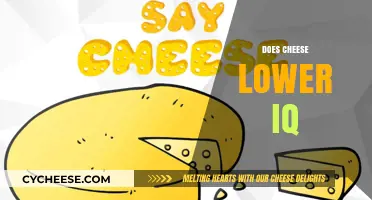 Cheese and IQ: Unraveling the Myth of Cognitive Impact