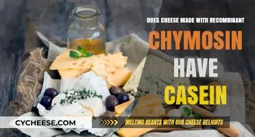 Cheese's Casein Conundrum: Unraveling the Mystery of Recombinant Chymosin