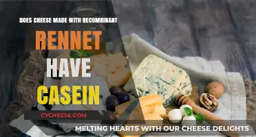 Cheese's Casein Conundrum: Unraveling the Recombinant Rennet Mystery