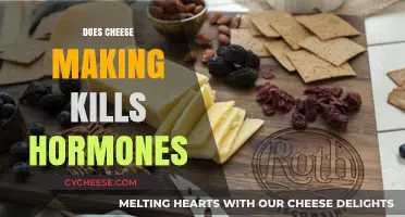 Does Cheese Making Kill Hormones? Unraveling the Dairy Dilemma