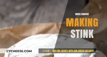 Does Cheese Making Stink? Uncovering the Truth Behind the Smell