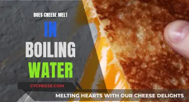 Cheese Melting: Boiling Water or Frying Pan?