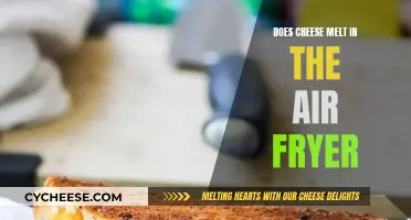 Cheese Air Fryer Melting: Does it Work?