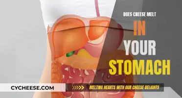 Cheese Consumption: Melting in the Stomach?
