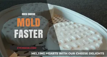 Does Cheese Mold Faster? Uncovering the Truth Behind Cheese Spoilage