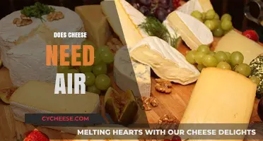 Does Cheese Need Air? Unwrapping the Truth About Storage