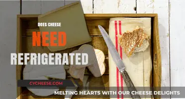Does Cheese Need Refrigeration? Storage Tips for Freshness and Flavor