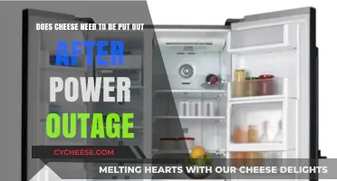 Cheese Storage: Power Outage Precautions