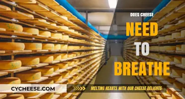 Does Cheese Need Air? Unwrapping the Truth About Cheese Breathing