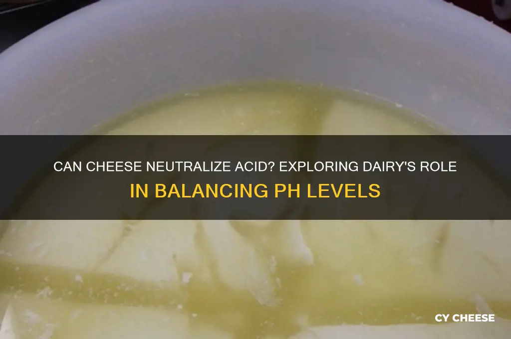 does cheese neutralize acid