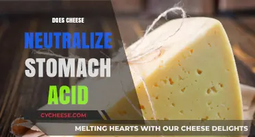 Can Cheese Neutralize Stomach Acid? Unraveling the Dairy Myth