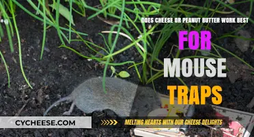Cheese or Peanut Butter: Which Catches Mice?