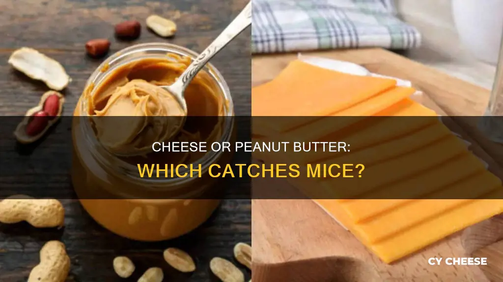 does cheese or peanut butter work best for mouse traps