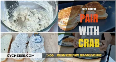 Crab and Cheese: A Surprising Culinary Match Made in Heaven?