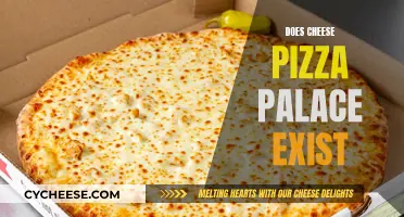 The Mystery of Cheese Pizza Palace: Fact or Fiction?