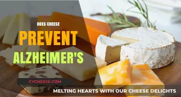 Cheese and Alzheimer's: Unraveling the Surprising Connection to Brain Health
