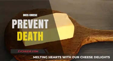 Can Cheese Be the Secret to Longevity? Unraveling the Myth