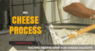 Understanding the Cheese Processing Journey: From Milk to Delicious Dairy