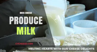 Does Cheese Produce Milk? Unraveling the Dairy Production Mystery