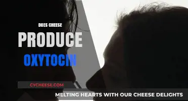 Cheese and Oxytocin: Unraveling the Science Behind the Happy Hormone