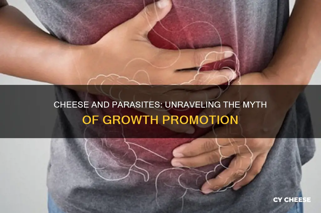 does cheese promote parasite growth