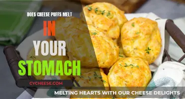 Cheese Puffs: Melting Mystery in Your Stomach